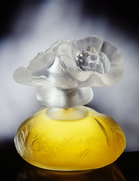 http://www.andre-longchamp.com/files/gimgs/7_yg-pr-dupont.jpg